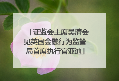 证监会主席吴清会见英国金融行为监管局首席执行官亚迪